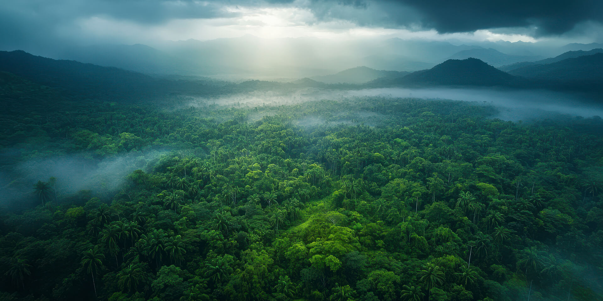 Yala National Park Tickets